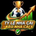 tylenhacailtd
